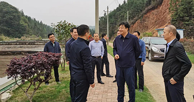 1617181234158356.jpg 24.jpg