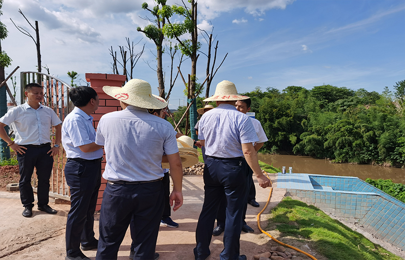 1626956481829953.jpg 5.jpg