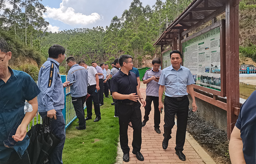 1631950709904872.jpg 2.jpg