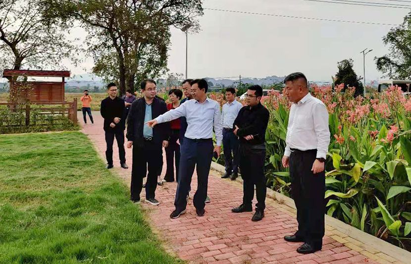 1634262553299107.jpg mmexport1634262135265.jpg