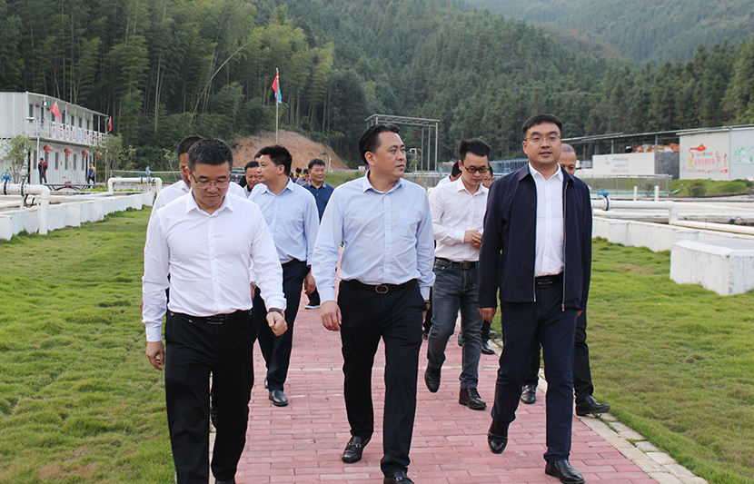 1634883103340895.jpg 9.jpg