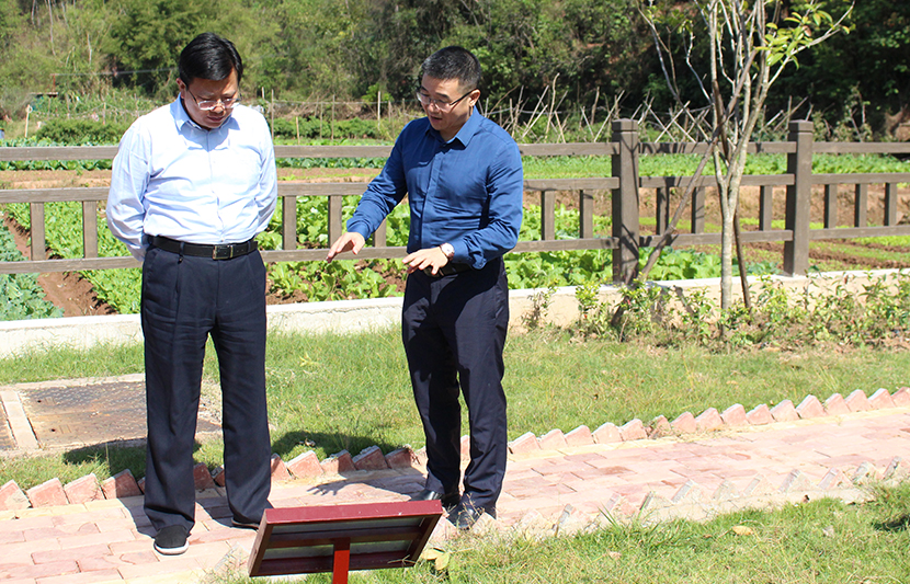 1636593248364048.jpg 4.jpg