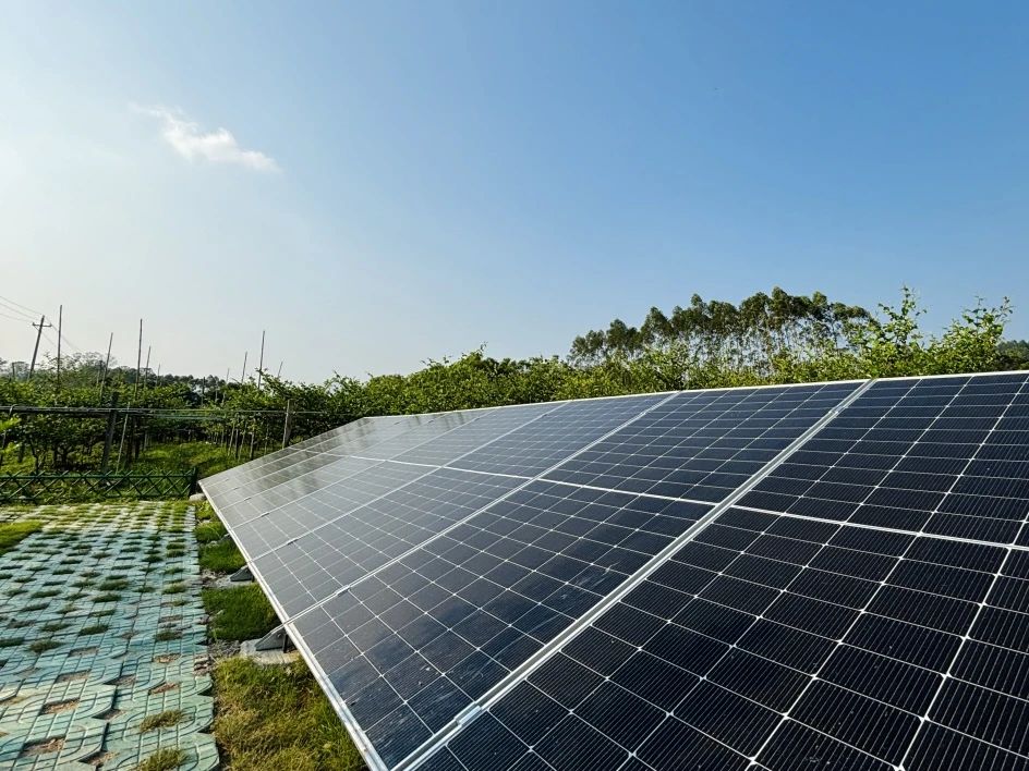 1733727003633108.jpg 微信圖片_20241209150441.jpg